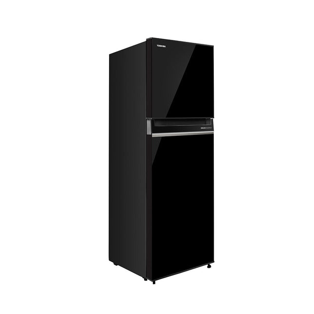 Toshiba GR-RT300WE-PMY(UK) 270L 2 Doors