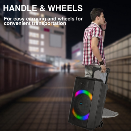 Vinnfier TANGO 600 WMV Portable Trolley Wireless Bluetooth Speaker 90W Max Karaoke USB Drive Micro SD card