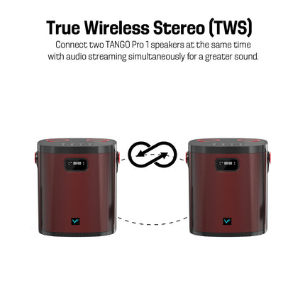 Vinnfier TANGO PRO 1 Bluetooth Portable Karaoke Speaker with 2 Wireless Microphone Support USB Drive