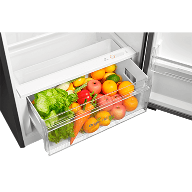 [FREE INSTALL KLANG VALLEY] TOSHIBA 530L 2 Doors Inverter Fridge GR-RT624WE-PGY(22) Refrigerator Peti Sejuk 冰箱 (Delivered By Seller - Klang Valley Only)